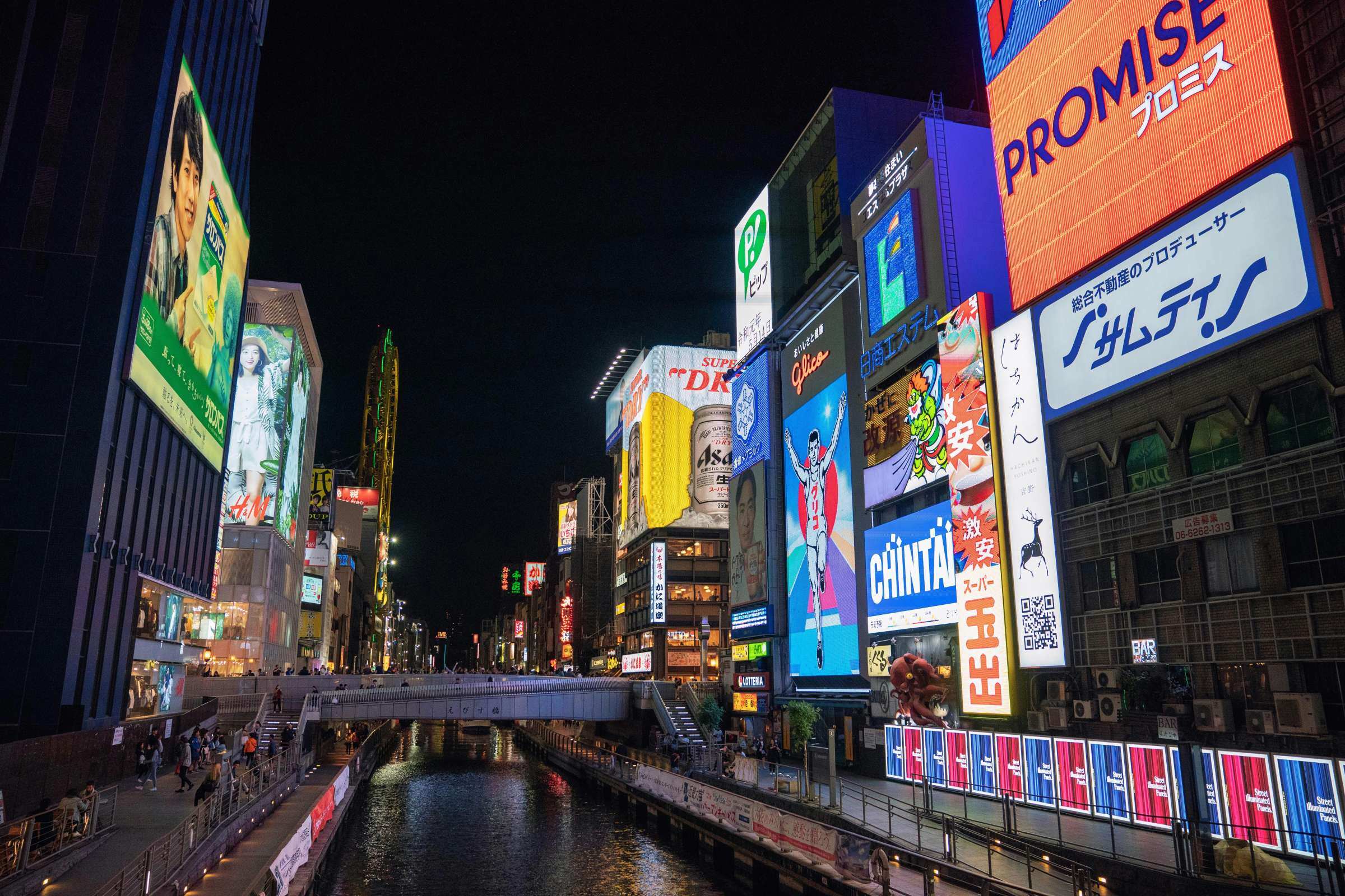 Osaka Night Food Tour- Secret Tastes of Dotonbori 