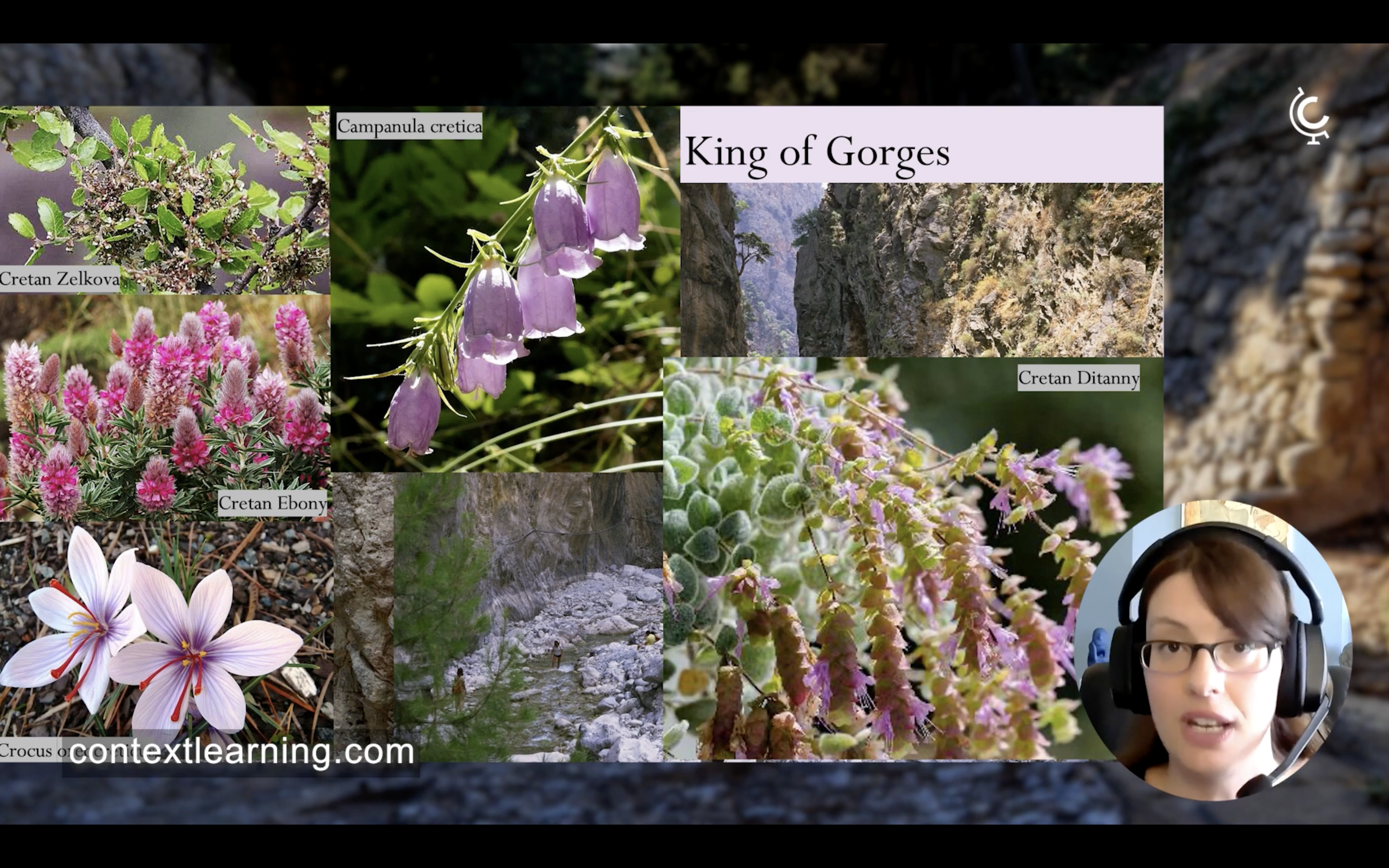 Screen Shot 2023-07-24 at 8.05.12 PM